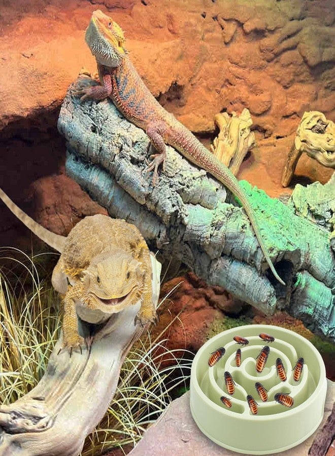 OOXYG Bearded Dragon Maze Bowls Puzzle, Bearded Dragon Feeding Dish Food Bowl, Reptile Feeding Dish to Slow Down Eating, Worm Dubia Cricket Anti-Escape Food Bowl - Image 3